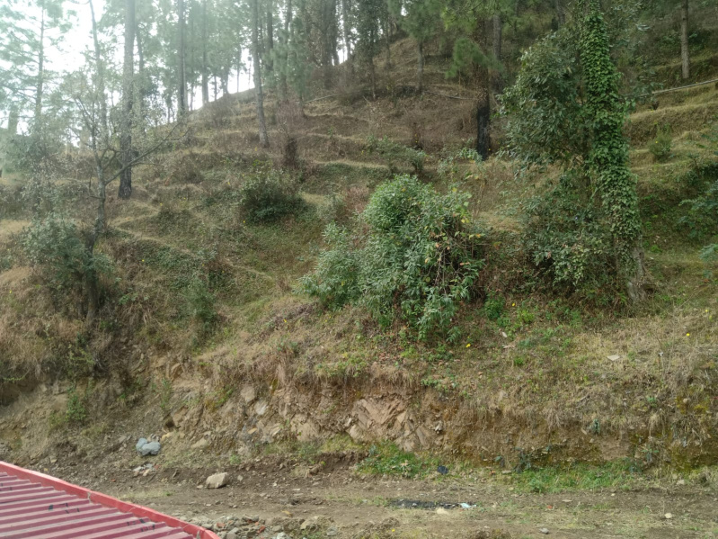 Deoghat, Solan photo 5