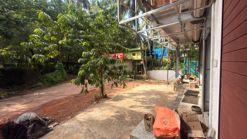 Morjim, Goa photo 5