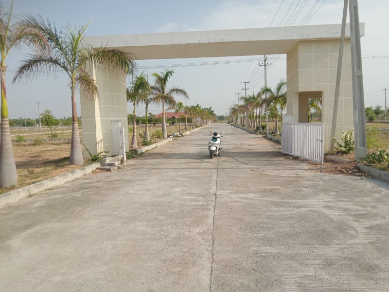 Narketpalle, Nalgonda photo 4