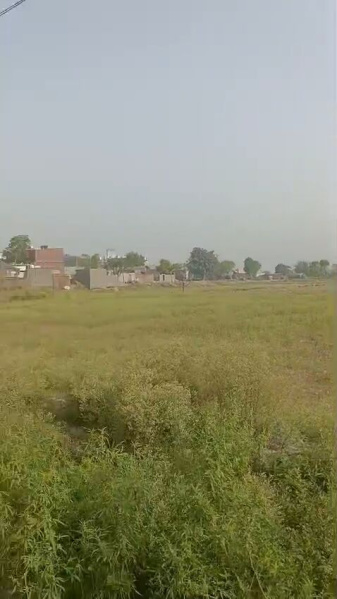 Mawana, Meerut photo 3