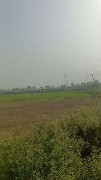 Mawana, Meerut photo 4