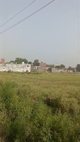 Mawana, Meerut photo 5