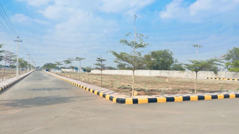 Nandikandi, Sangareddy photo 4