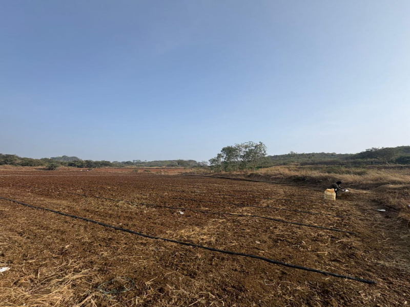 Pargi, Vikarabad photo 4