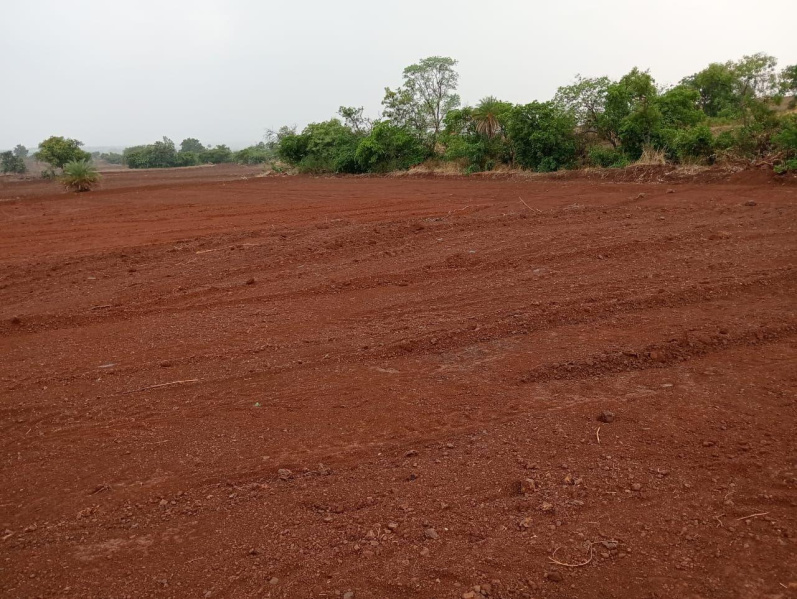 Pargi, Vikarabad photo 5
