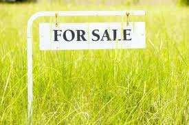  Residential Plot for Sale in Sector 105 Noida