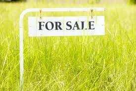 Residential Plot for Sale in Sector 41 Noida