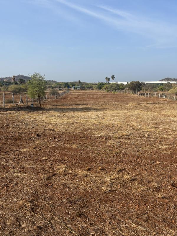 Keerambur, Namakkal photo 4
