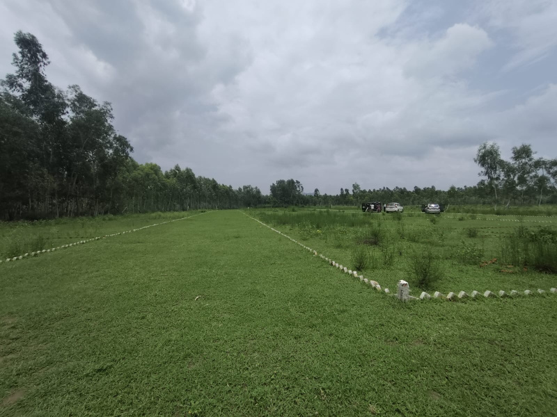 Behat, Saharanpur photo 3