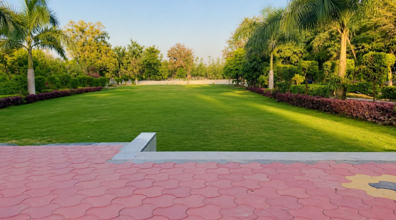 Tilwara, Jabalpur photo 3