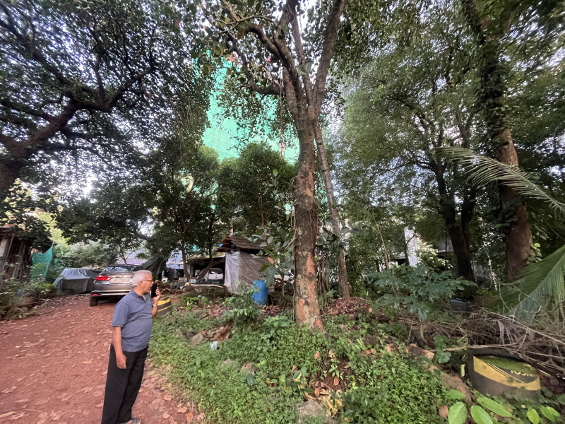 Mankavu, Kozhikode photo 3