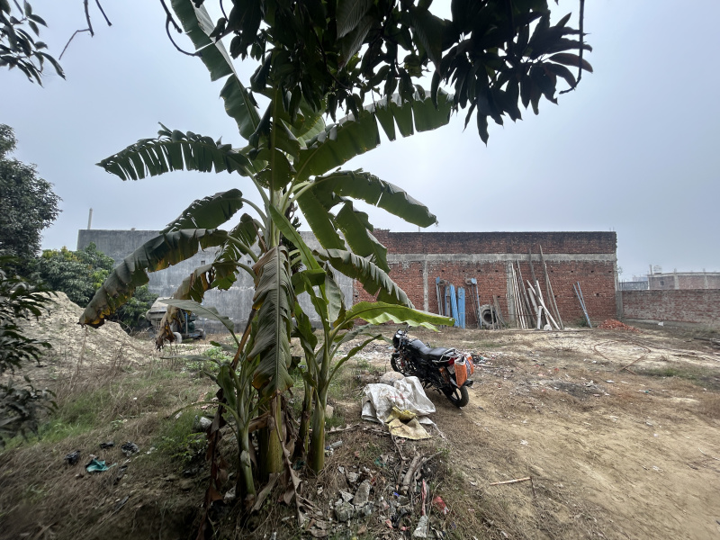 Gulariha, Gorakhpur photo 3