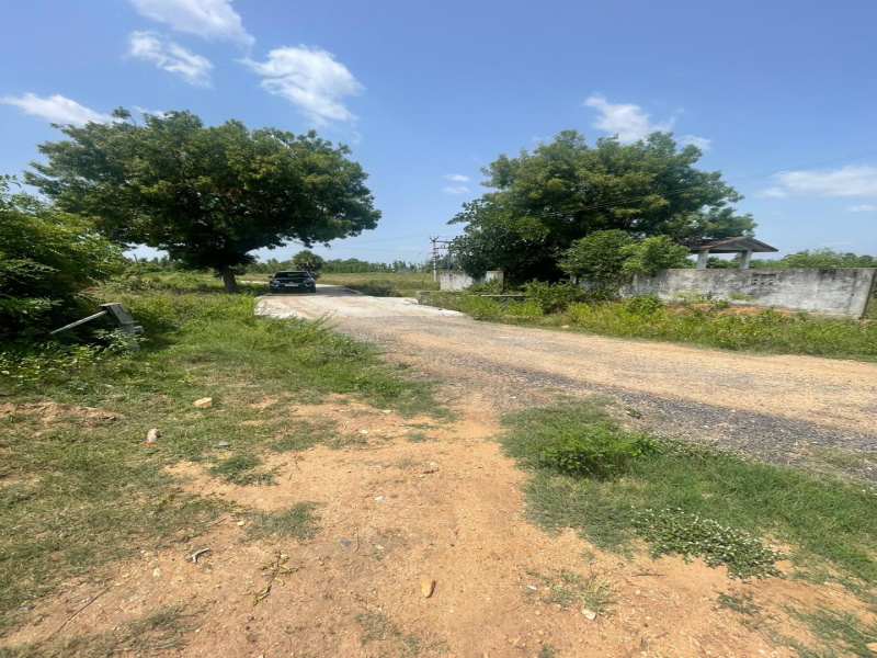 Kalavai, Vellore photo 3