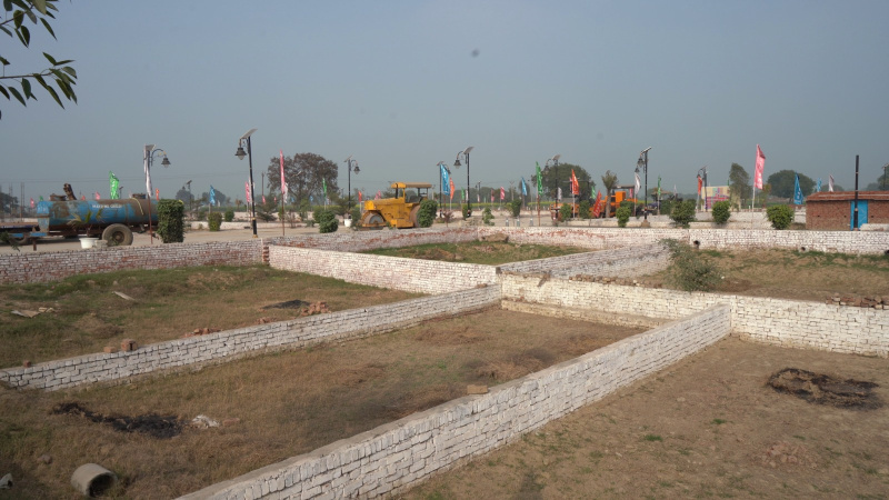 Jattari, Aligarh photo 5