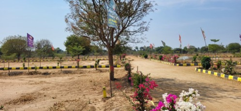 Tarnaka, Secunderabad photo 4