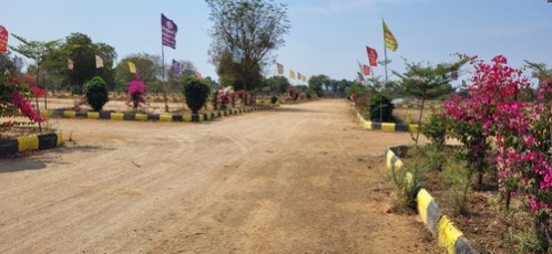 Tarnaka, Secunderabad photo 5