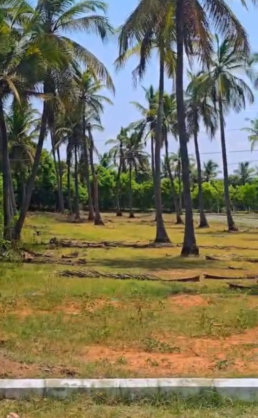 Koovathur, Kanchipuram photo 2