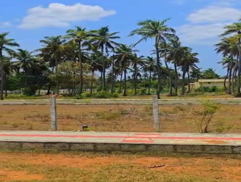 Koovathur, Kanchipuram photo 3