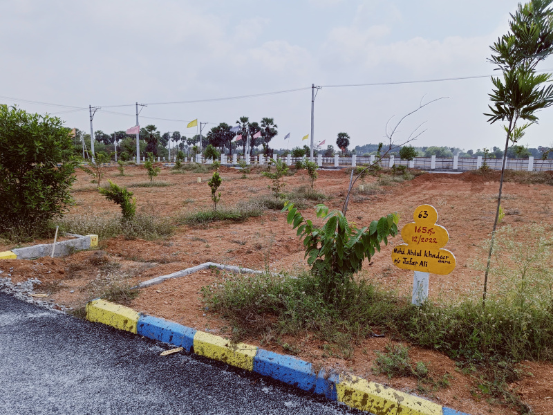 Munagala Mandal, Nalgonda photo 3