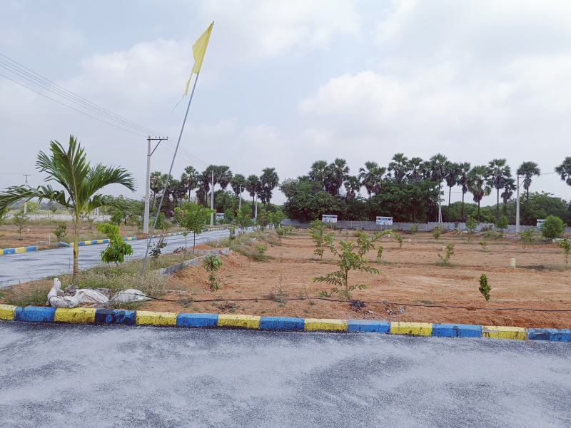 Munagala Mandal, Nalgonda photo 4