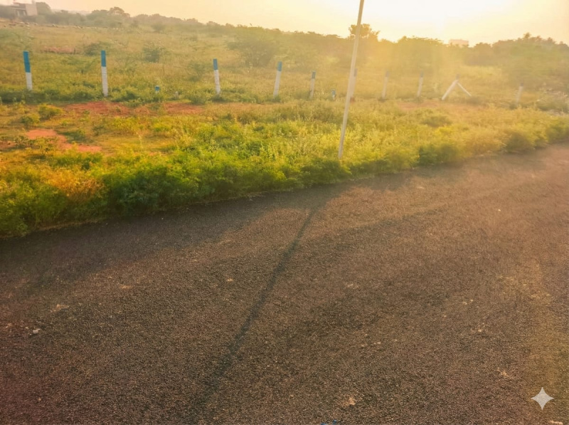 Karuppayurani, Madurai photo 5