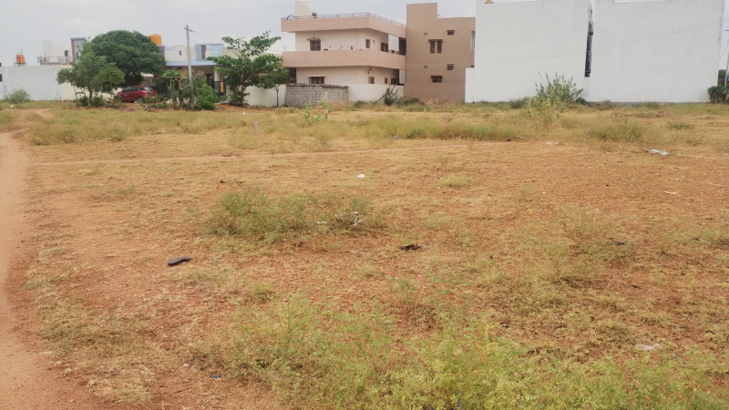 Dharmavaram, Anantapur photo 3