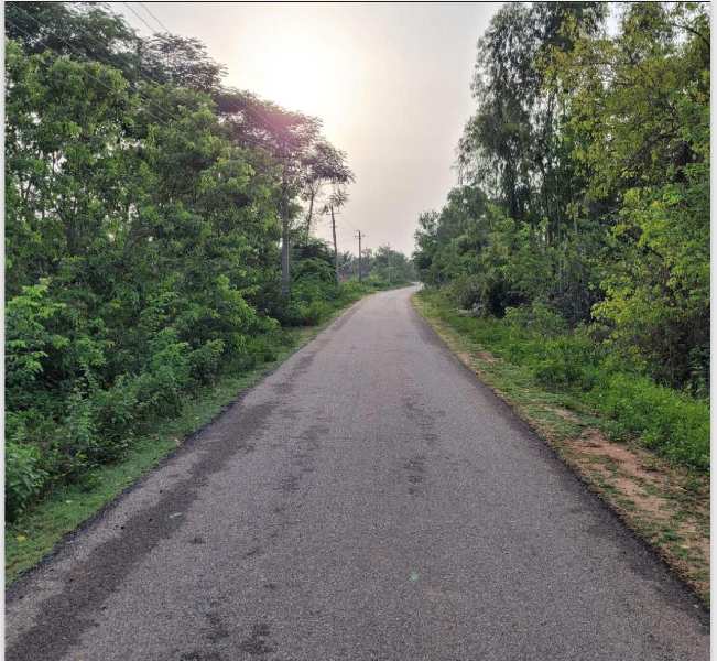 Farm Land for Sale in Yadiyur, Tumkur (REI1056964)