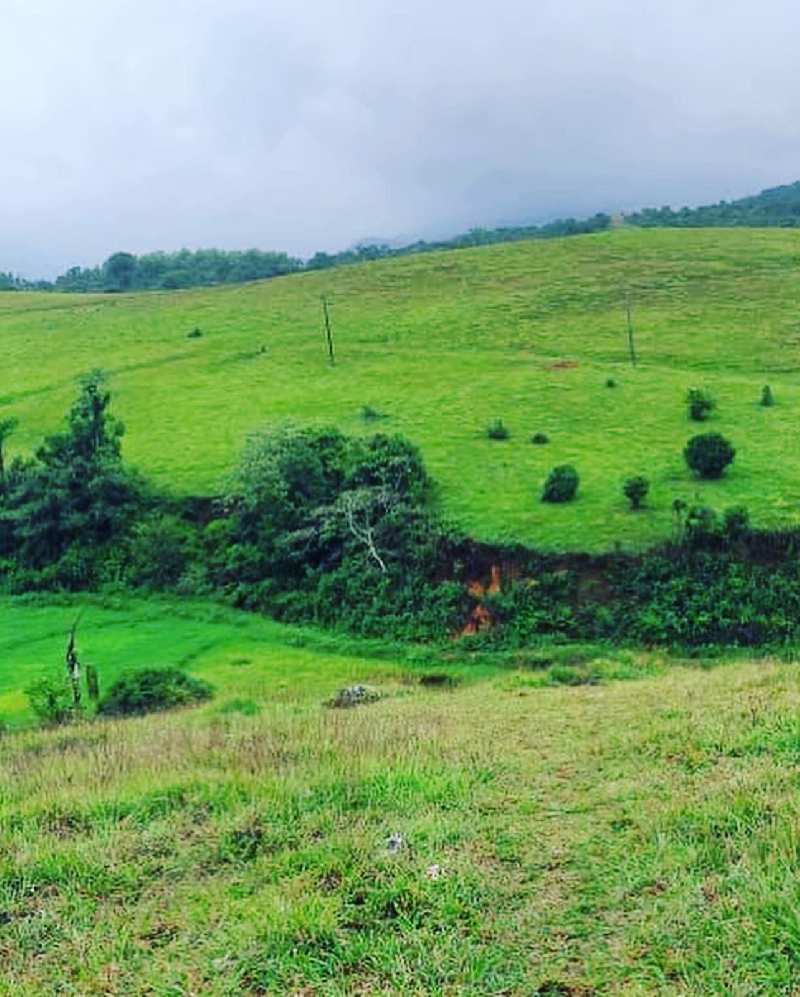 Agricultural Land 3 Acre for Sale in Sakleshpur, Chikmagalur (REI1059262)