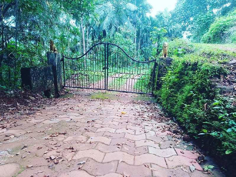 Agricultural Land 4 Acre for Sale in Dechoor, Madikeri, Kodagu (REI1095404)