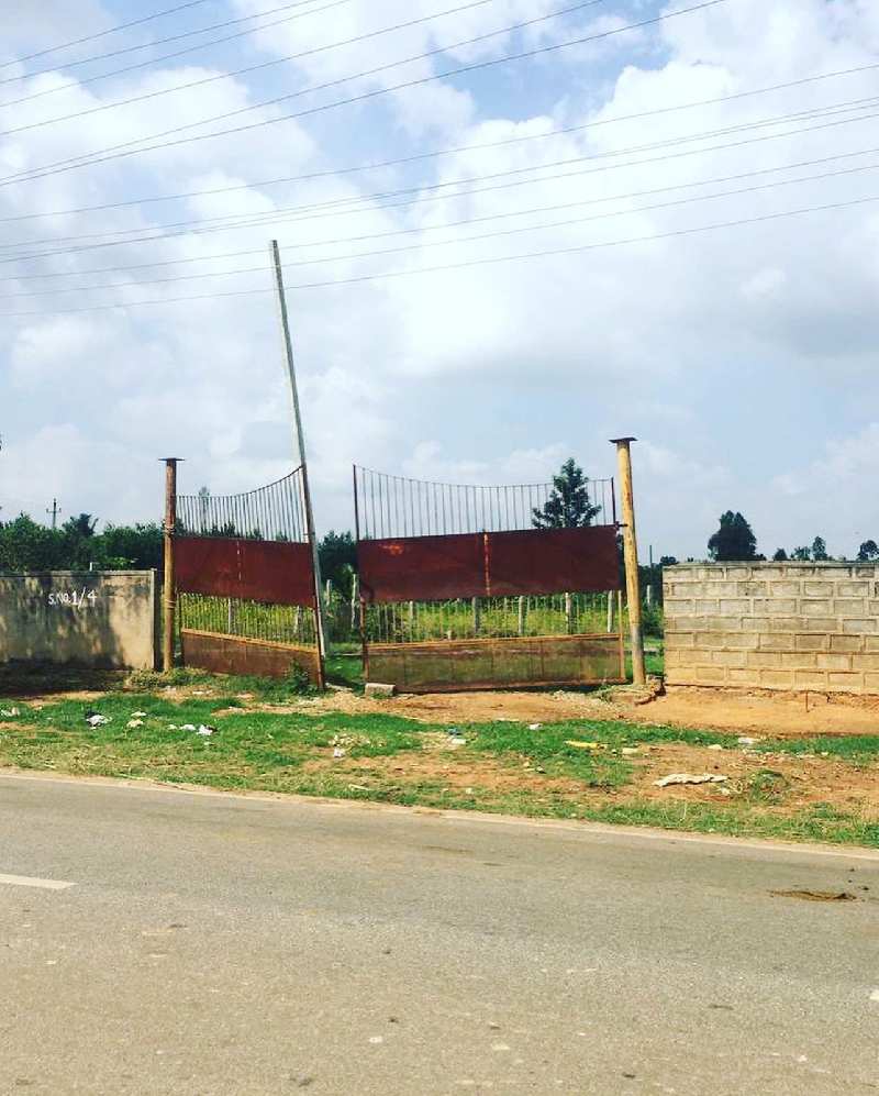 Agricultural Land 1 Acre for Sale in Doddaballapur, Bangalore (REI1098832)