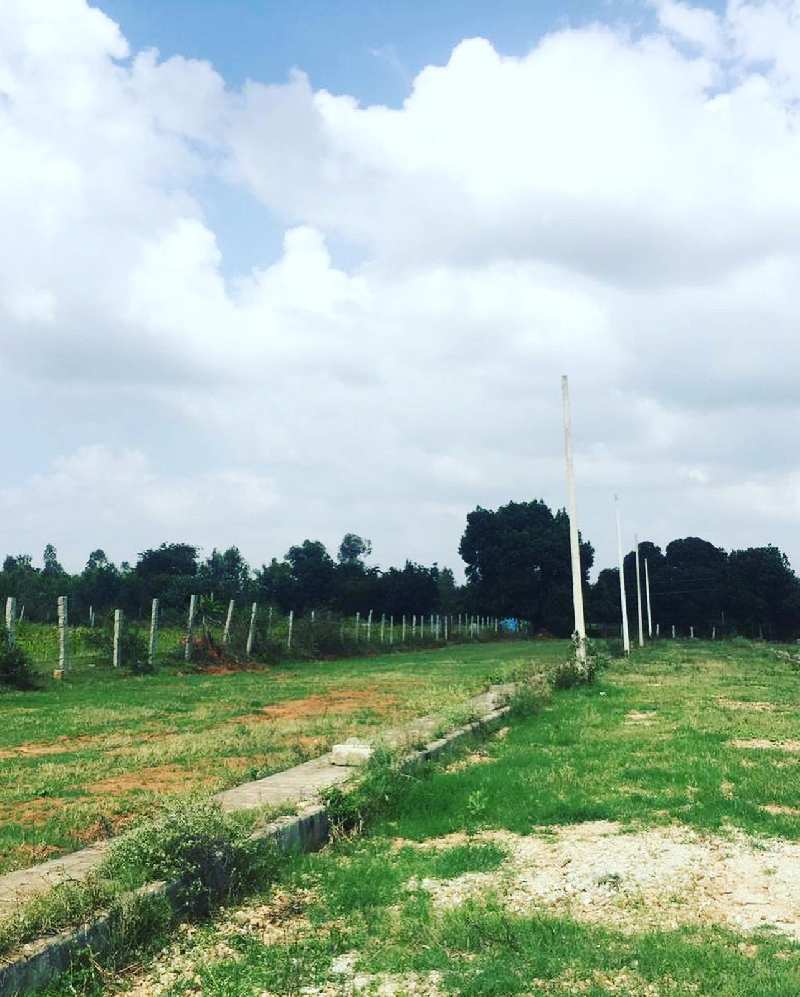 Agricultural Land 1 Acre for Sale in Doddaballapur, Bangalore (REI1098832)