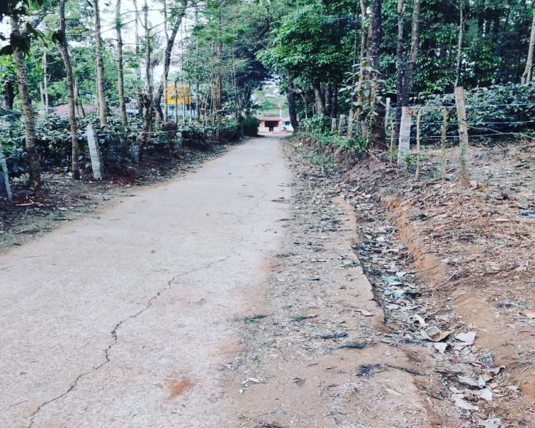 Agricultural Land 10 Acre for Sale in Chikkaballapur, Bangalore