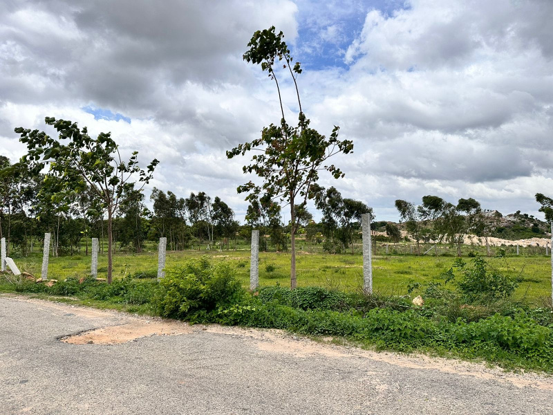  Residential Plot 1 Acre for Sale in Doddaballapur, Bangalore