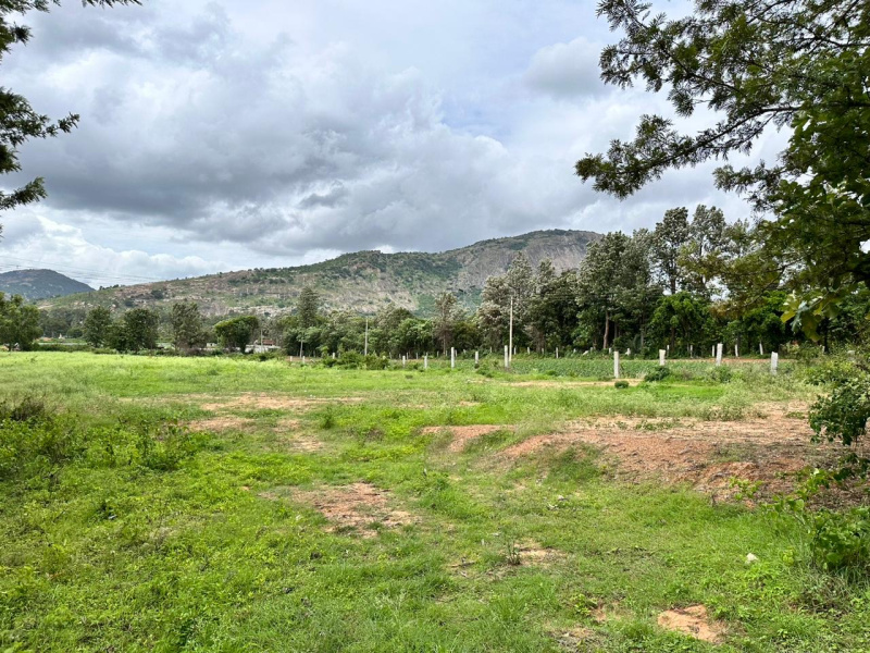  Residential Plot 1 Acre for Sale in Nandi Hills, Bangalore