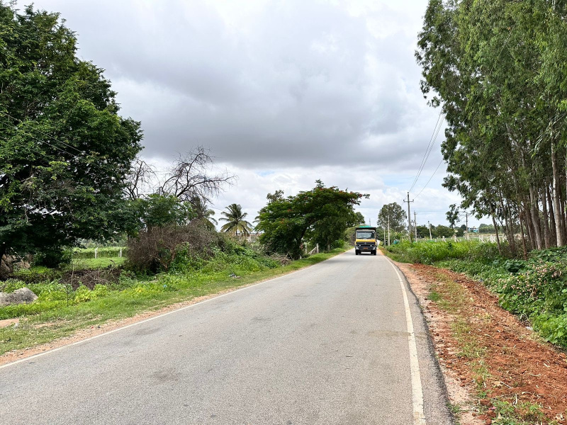  Residential Plot 28 Guntha for Sale in Doddaballapur, Bangalore