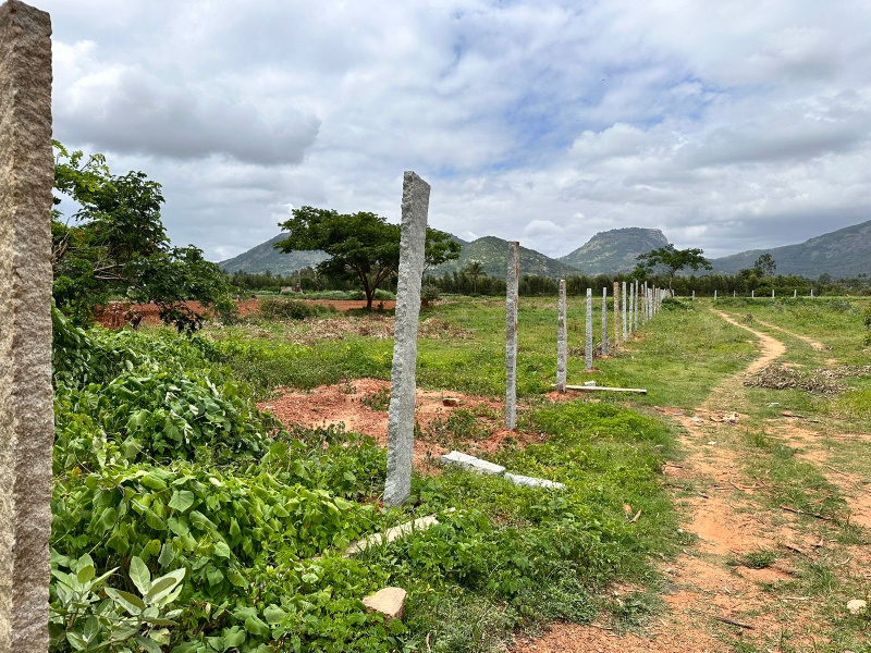  Residential Plot 28 Guntha for Sale in Doddaballapur, Bangalore