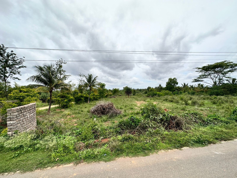  Residential Plot 2 Acre for Sale in Nelamangala, Bangalore