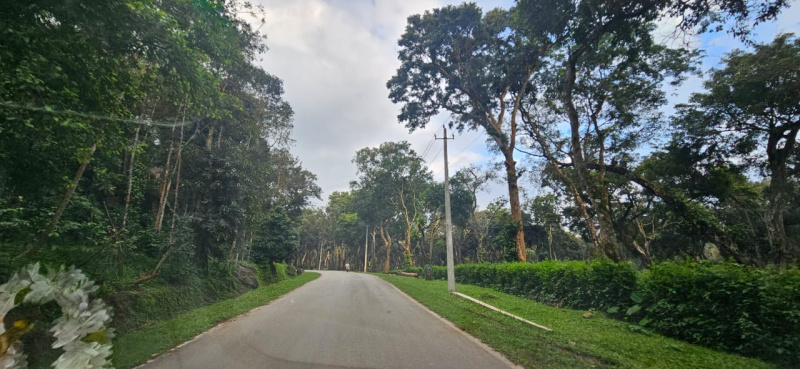  Residential Plot 6 Acre for Sale in Belur Hassan