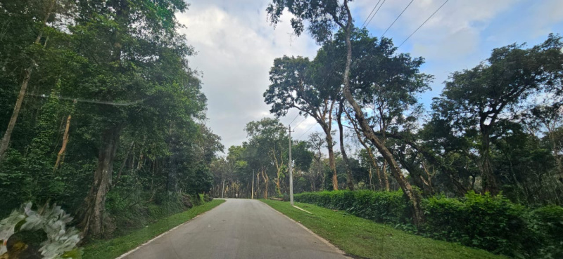  Residential Plot 6 Acre for Sale in Belur Hassan