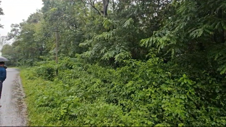  Residential Plot 10 Acre for Sale in Alur, Hassan