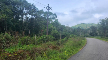  Residential Plot for Sale in Mudigere, Chikmagalur