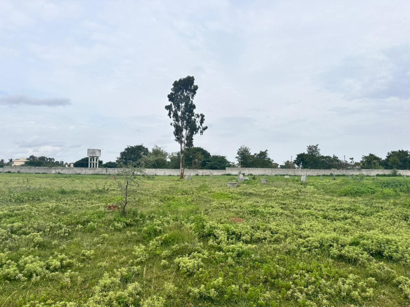  Residential Plot 21 Guntha for Sale in Doddaballapur, Bangalore