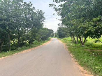  Residential Plot for Sale in Bidadi, Bangalore