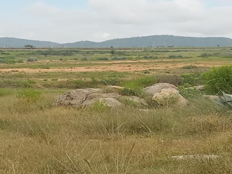  Residential Plot 10 Acre for Sale in Kadur, Chikmagalur