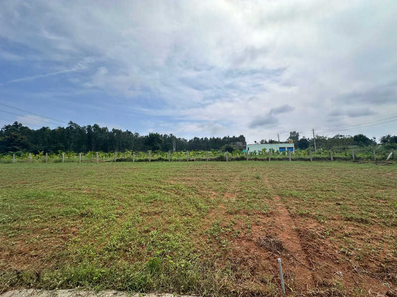  Residential Plot 1 Acre for Sale in Doddaballapur, Bangalore