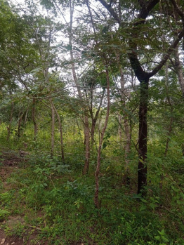  Residential Plot for Sale in Hebbalu, Hassan