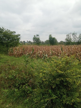  Residential Plot for Sale in Hebbalu, Hassan