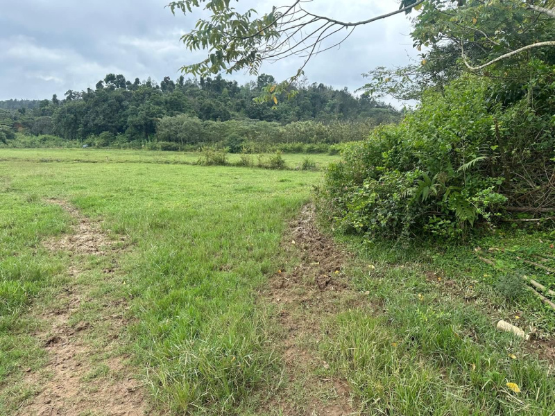  Residential Plot 3 Acre for Sale in Mudigere, Chikmagalur