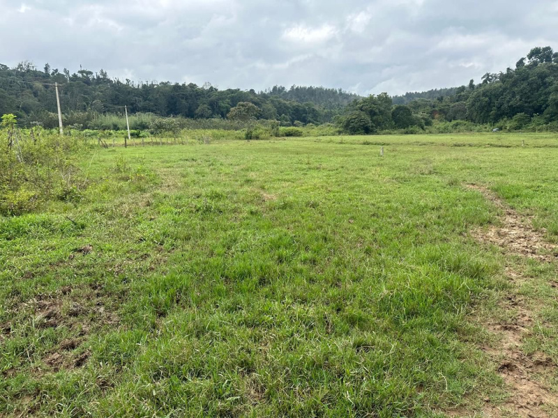  Residential Plot 3 Acre for Sale in Mudigere, Chikmagalur