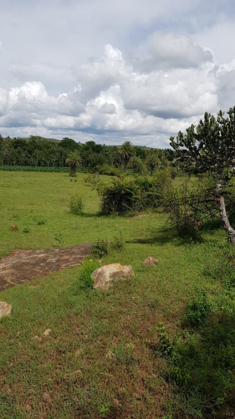  Residential Plot 3 Acre for Sale in Santhi Nagar, Hassan